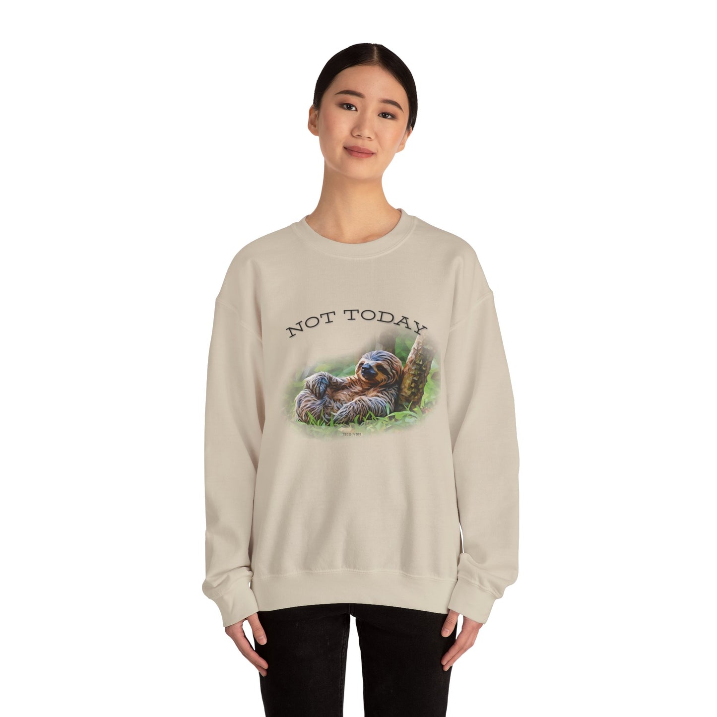 "Not Today" Unisex Cozy Crewneck Sweatshirt
