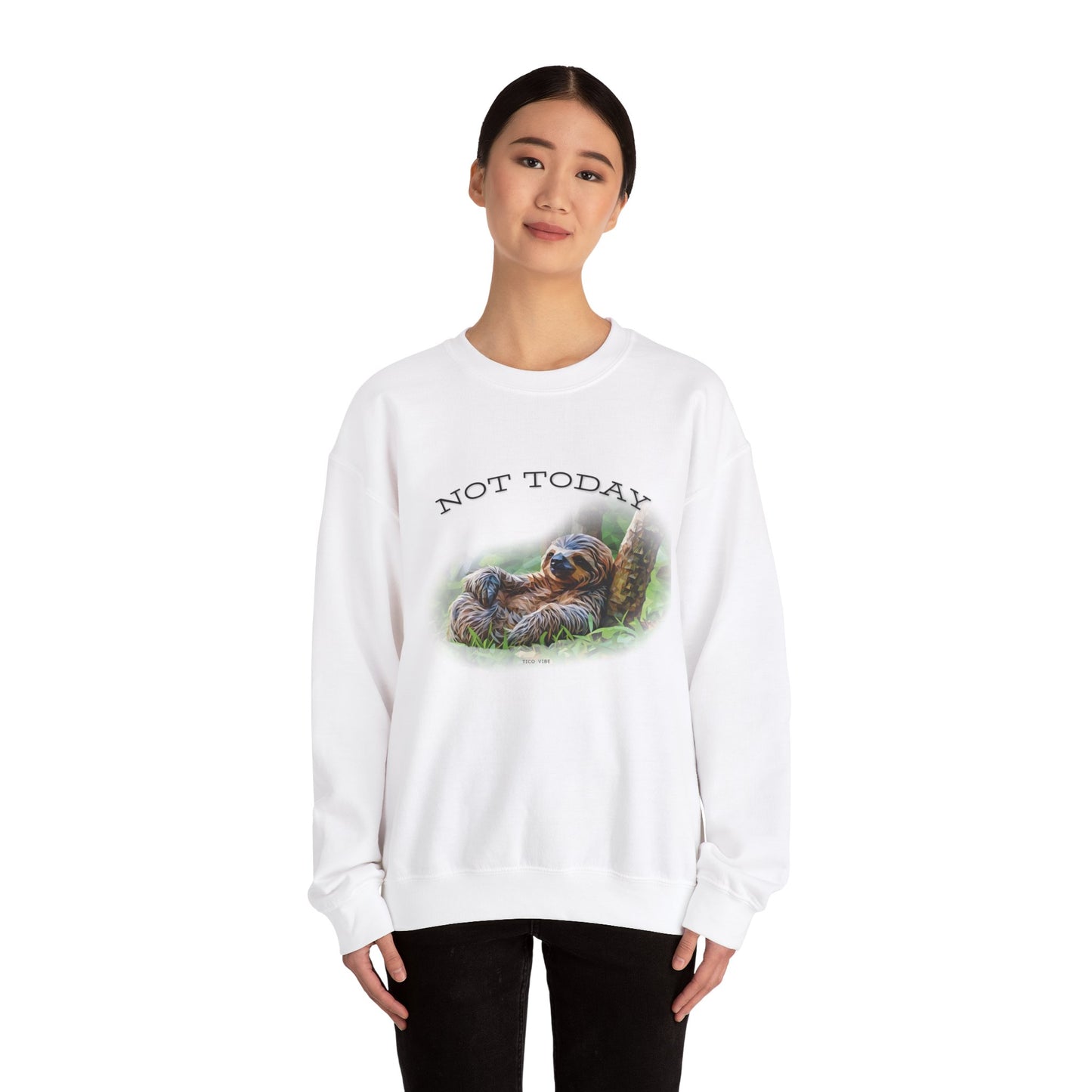 "Not Today" Unisex Cozy Crewneck Sweatshirt