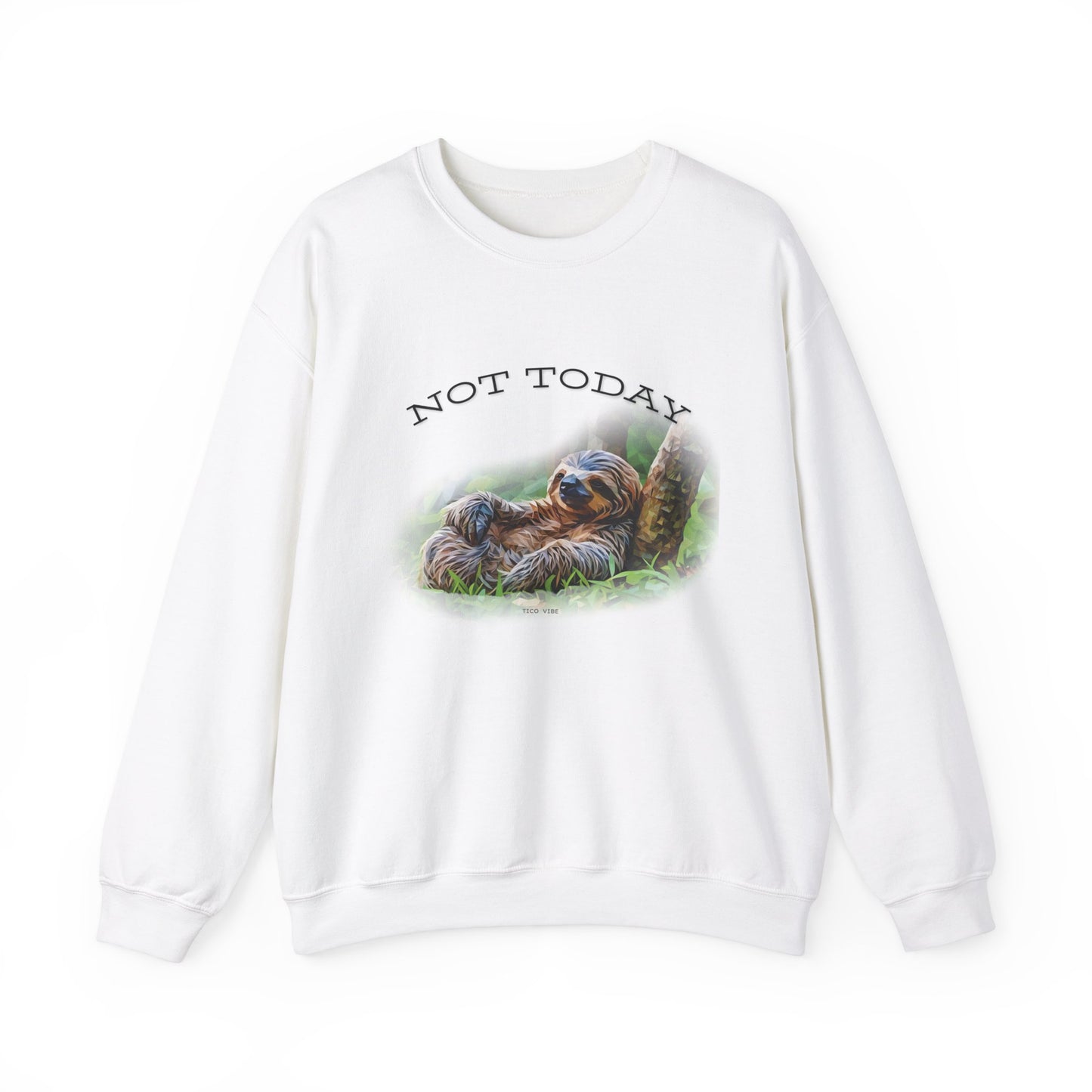 "Not Today" Unisex Cozy Crewneck Sweatshirt