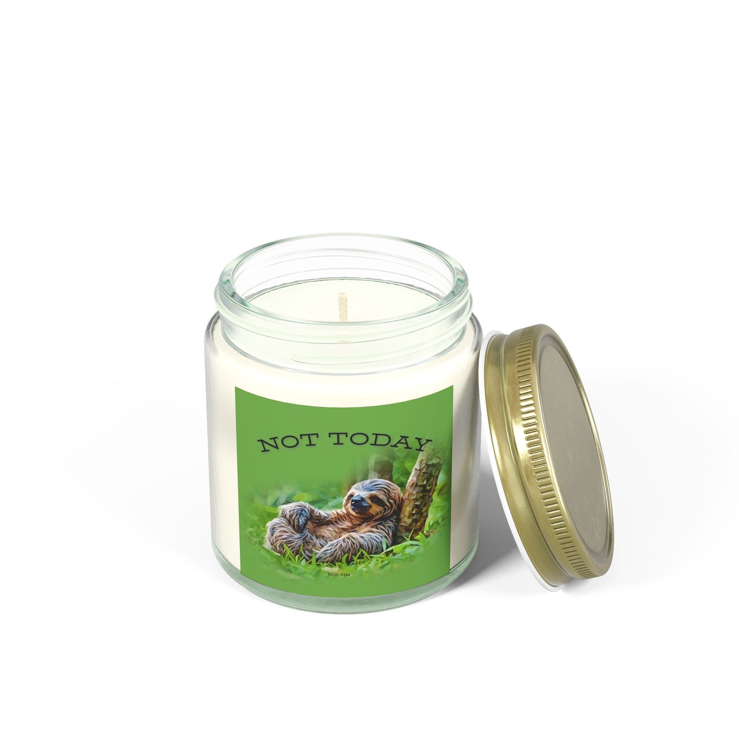 Not Today Relaxing Sloth Scented Candle | Coconut Apricot Wax | 4oz & 9oz