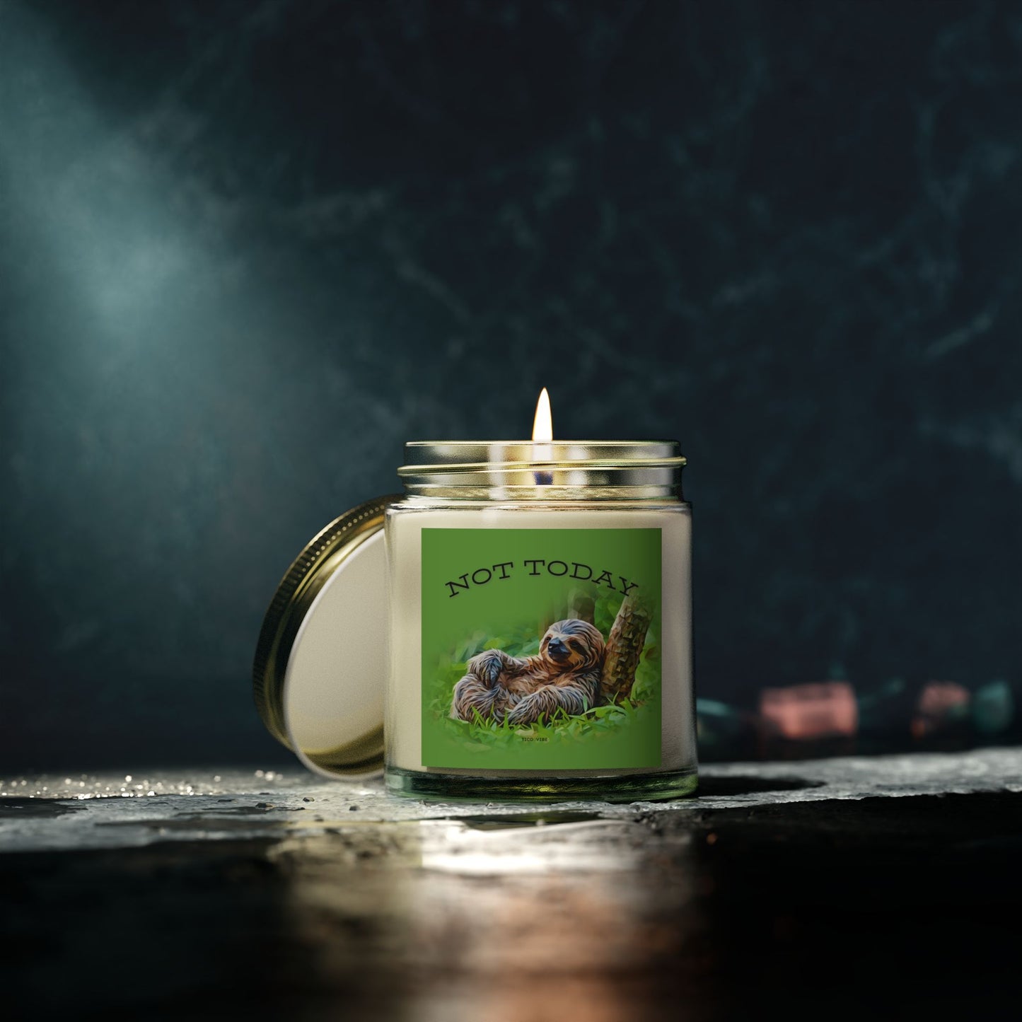 Not Today Relaxing Sloth Scented Candle | Coconut Apricot Wax | 4oz & 9oz