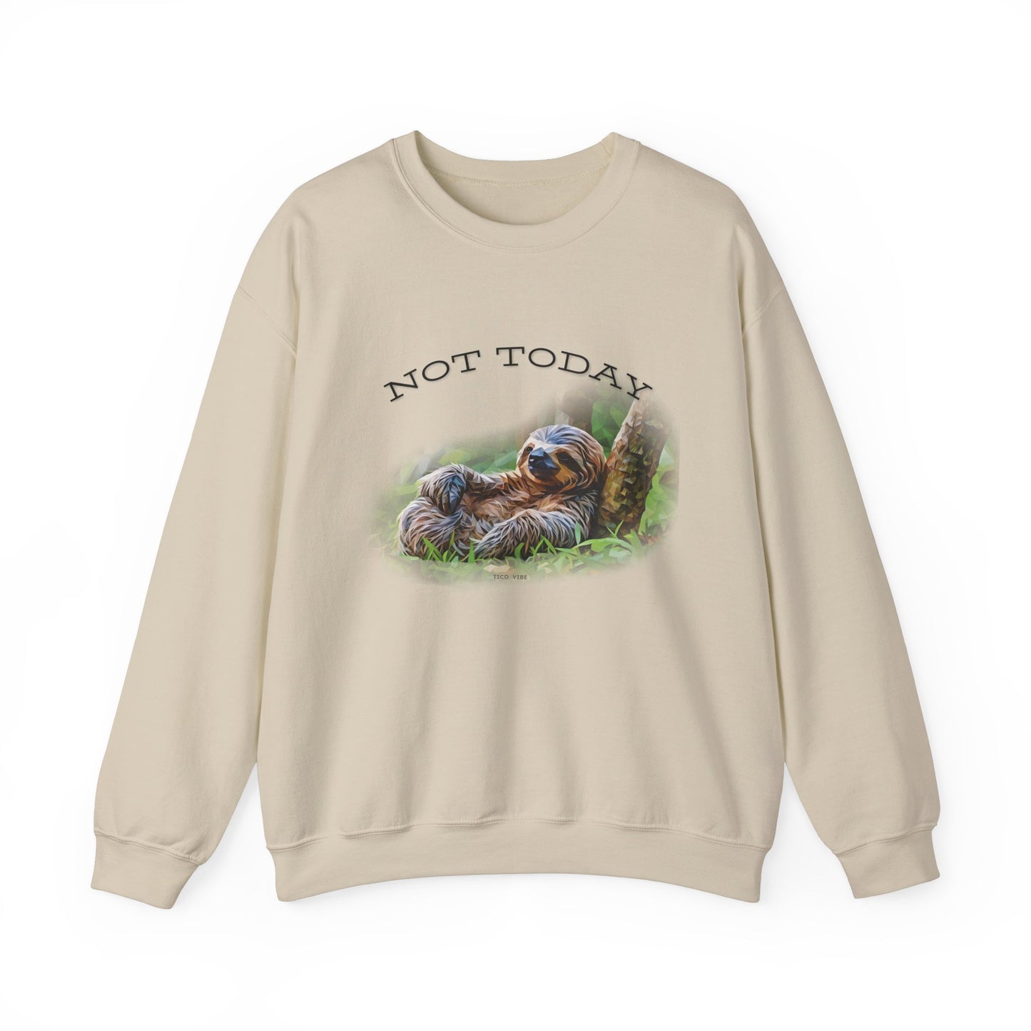 "Not Today" Unisex Cozy Crewneck Sweatshirt