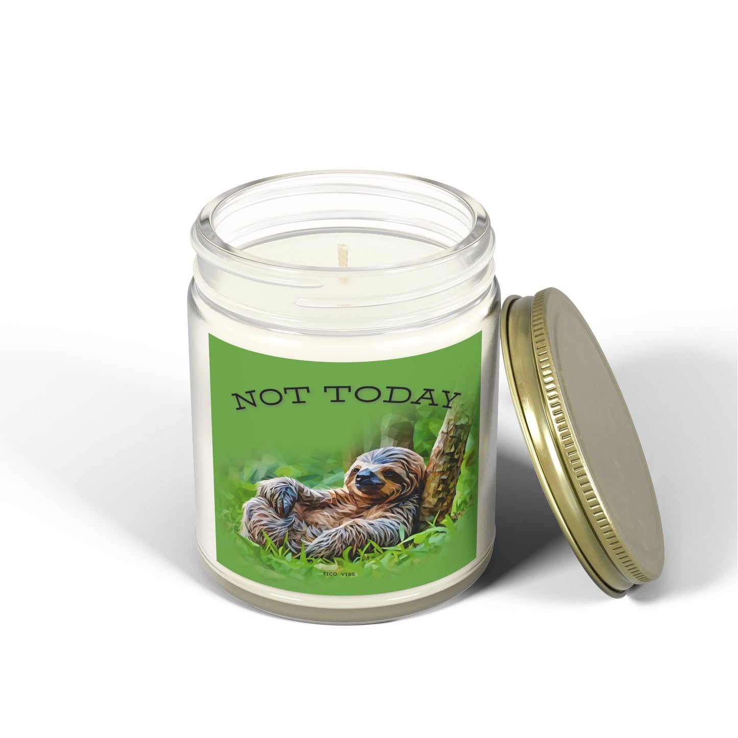 Not Today Relaxing Sloth Scented Candle | Coconut Apricot Wax | 4oz & 9oz
