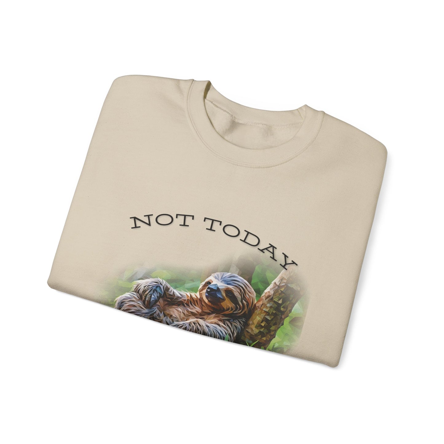 "Not Today" Unisex Cozy Crewneck Sweatshirt