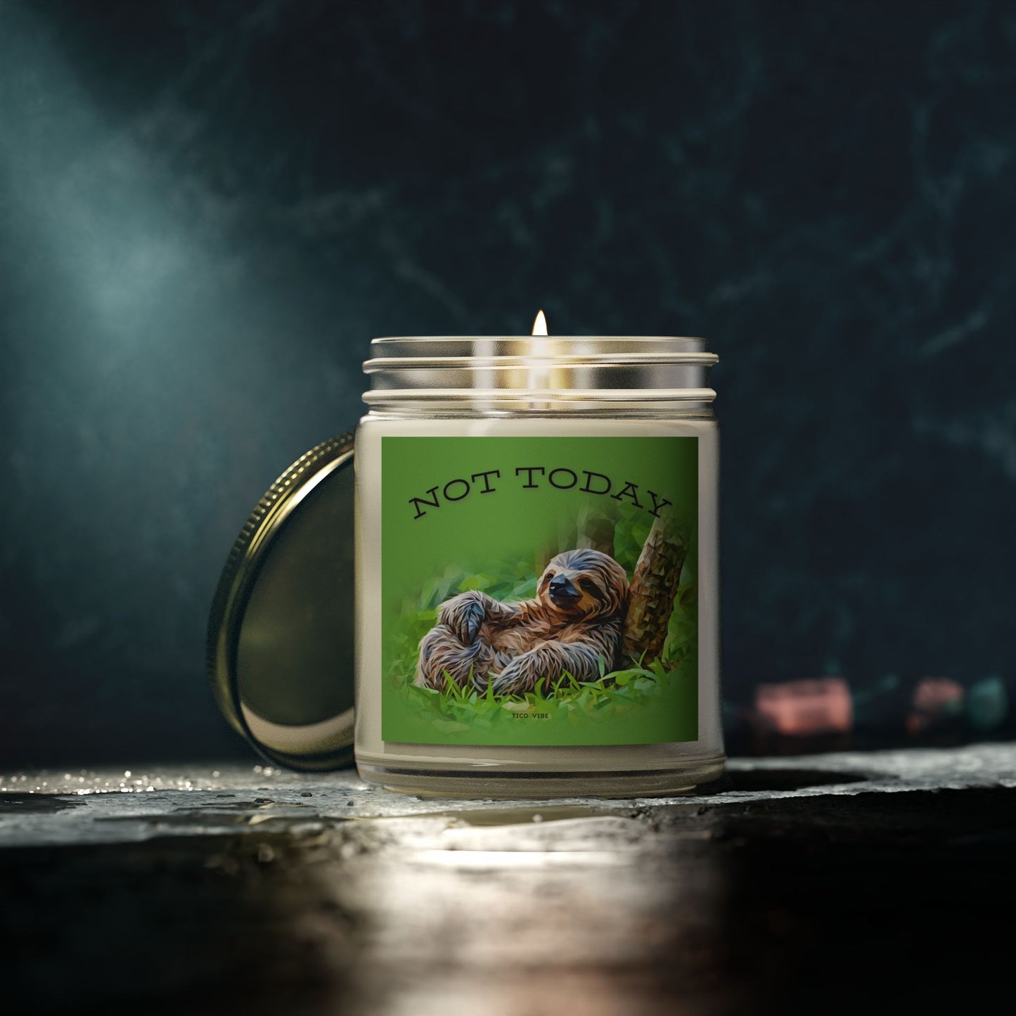 Not Today Relaxing Sloth Scented Candle | Coconut Apricot Wax | 4oz & 9oz