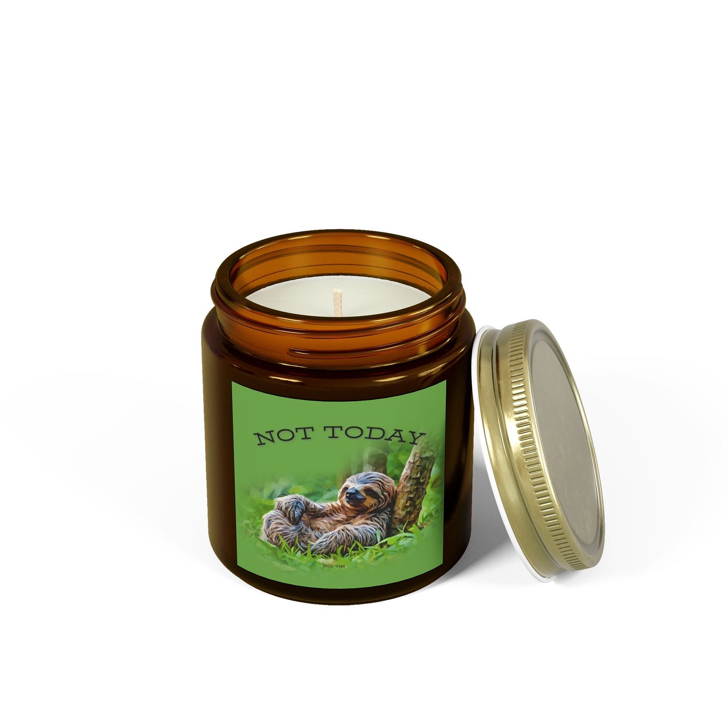 Not Today Relaxing Sloth Scented Candle | Coconut Apricot Wax | 4oz & 9oz